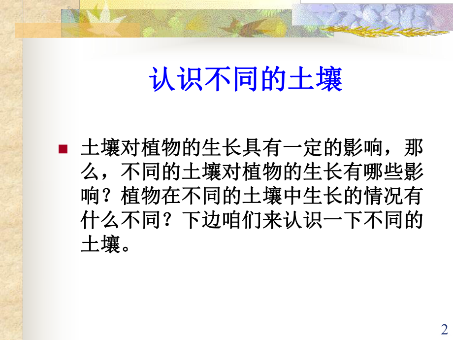 土壤与植物的生长PPT课件.ppt_第2页