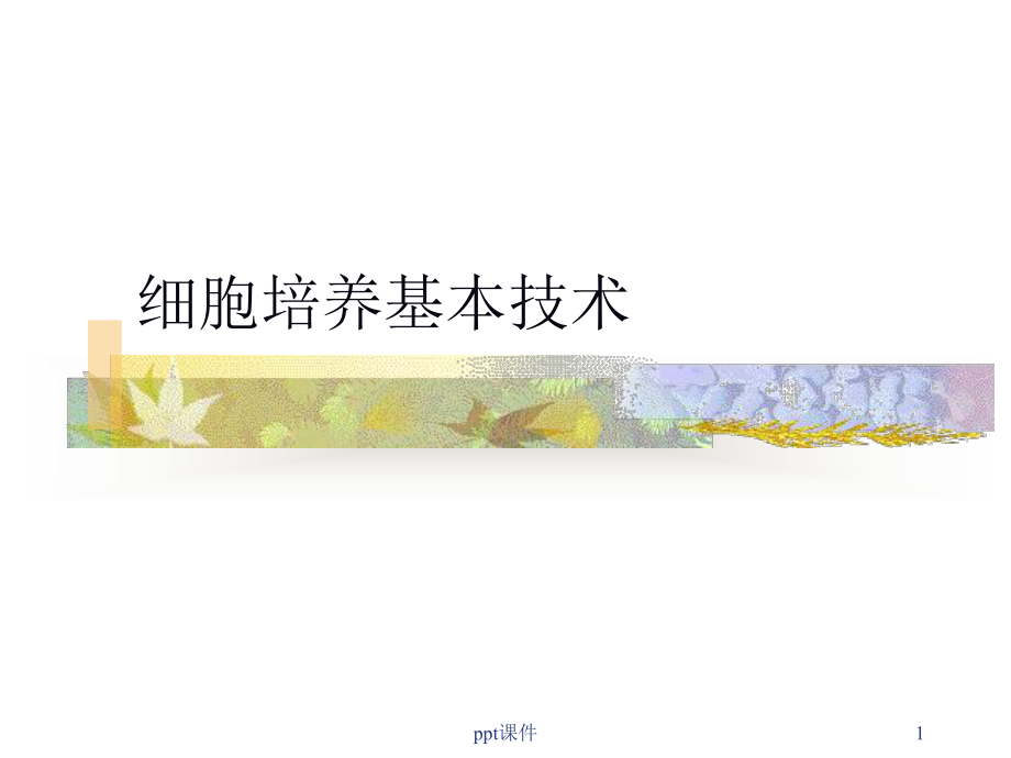 细胞培养-ppt课件.ppt_第1页