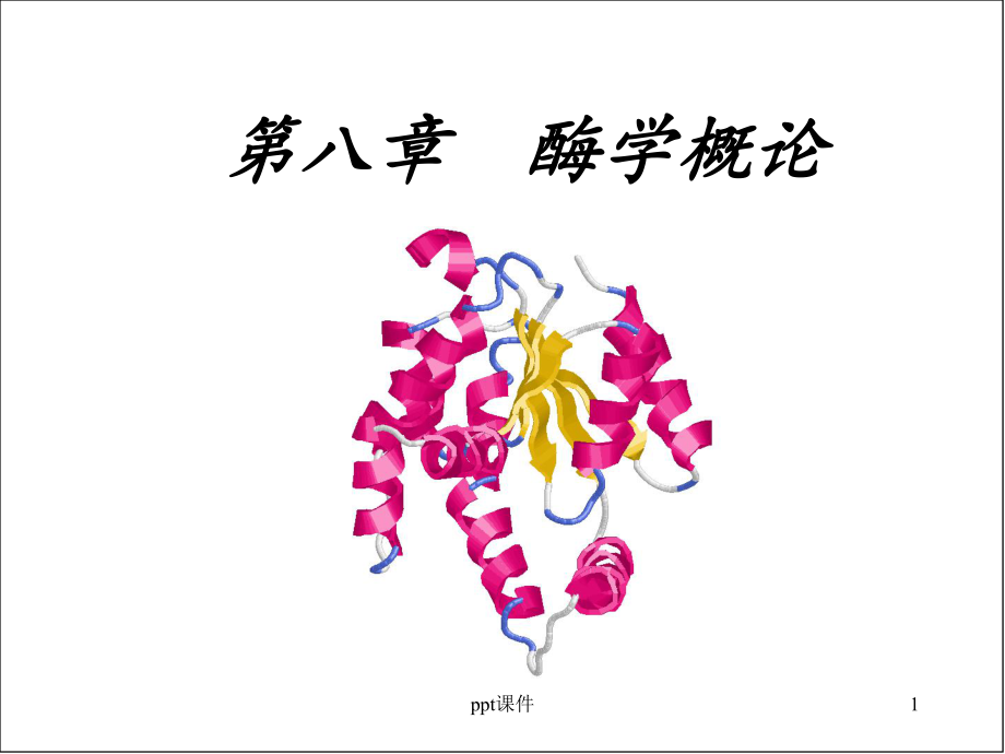 杨荣武生物化学-酶学概论-ppt课件.ppt_第1页