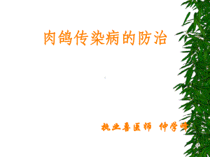 肉鸽常见疾病PPT课件.ppt