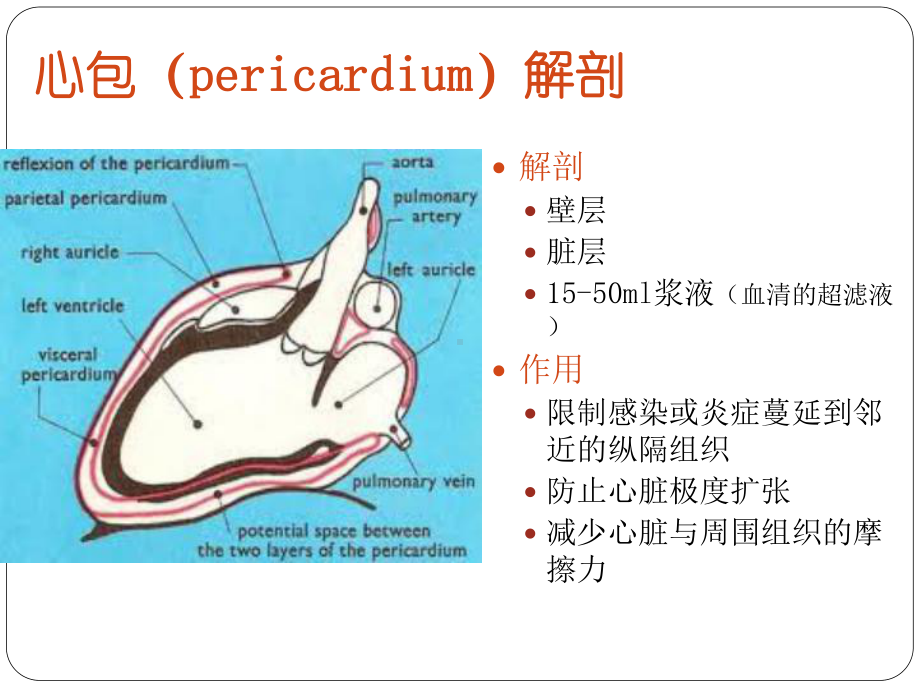 心包病变PPT课件.ppt_第2页