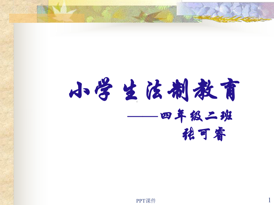 小学生法制教育-ppt课件.ppt_第1页