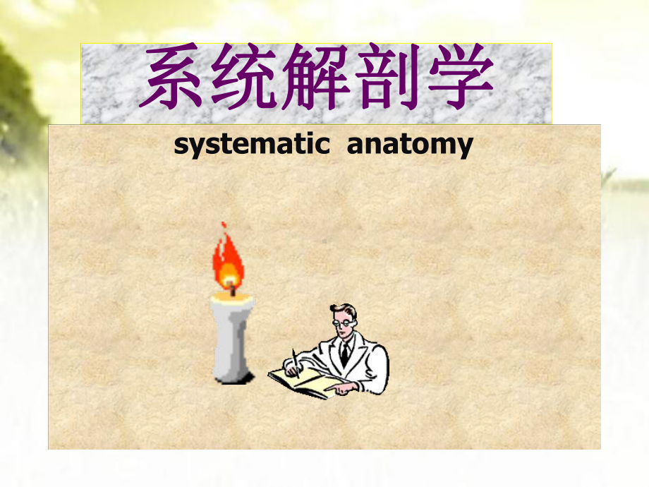 系统解剖学(全套课件)-PPT.ppt_第1页