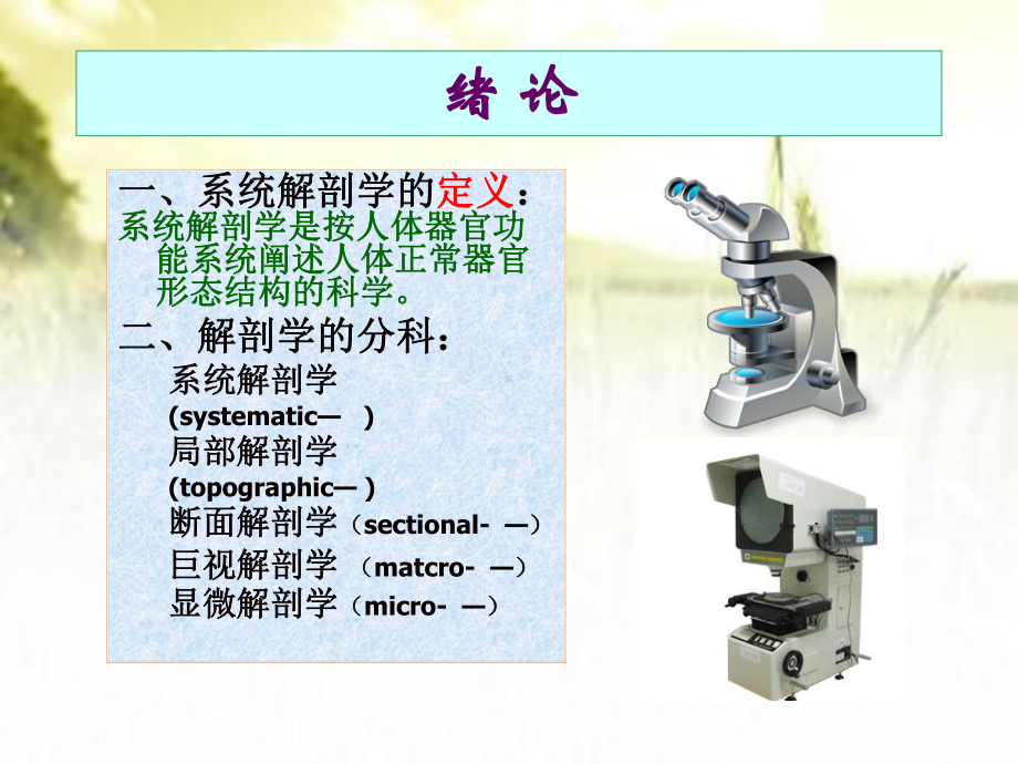 系统解剖学(全套课件)-PPT.ppt_第2页