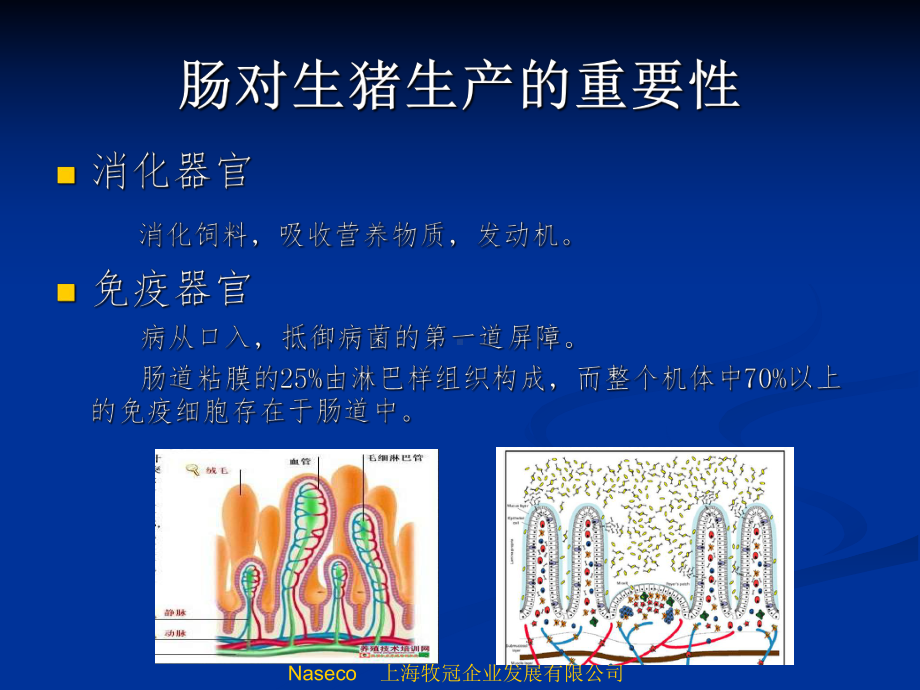 可速必宁-长沙培训-ppt课件.ppt_第2页