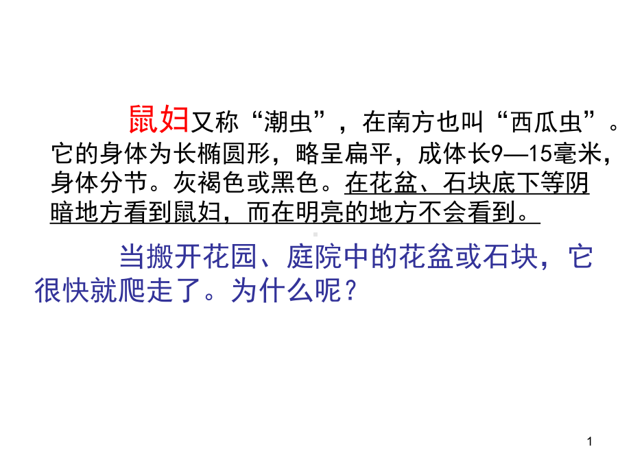 探究光对鼠妇生活的影响ppt课件.ppt_第1页