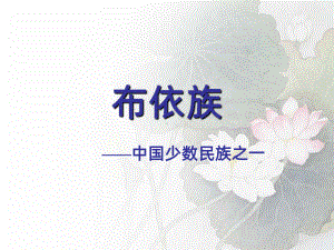 布依族介绍PPT课件.ppt