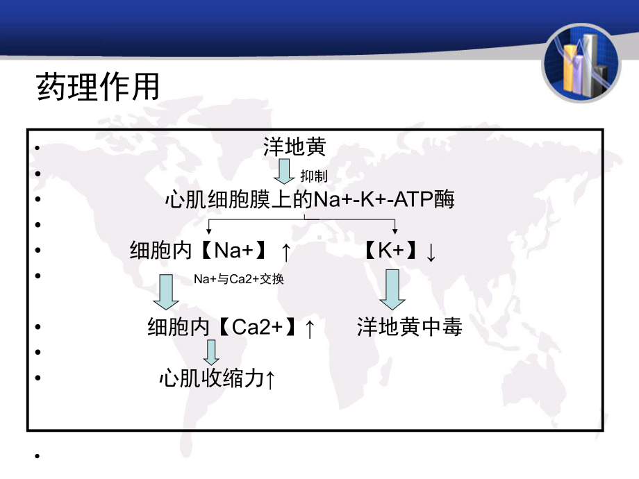 洋地黄ppt课件.ppt_第3页