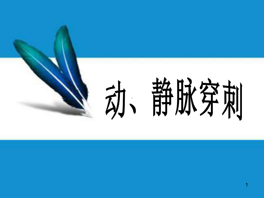 动静脉穿刺术PPT课件.ppt_第1页