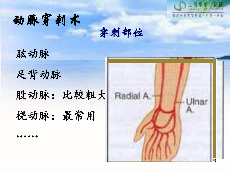 动静脉穿刺术PPT课件.ppt_第3页