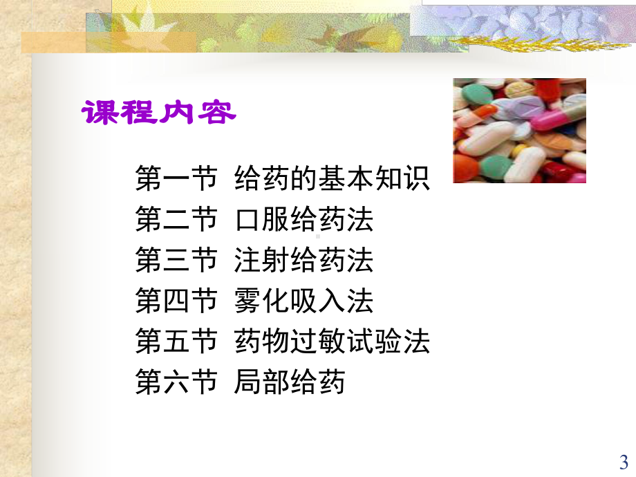 给药PPT课件.ppt_第3页