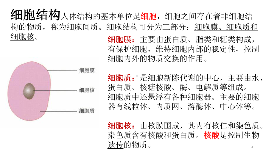 人体生理学PPT课件.ppt_第3页