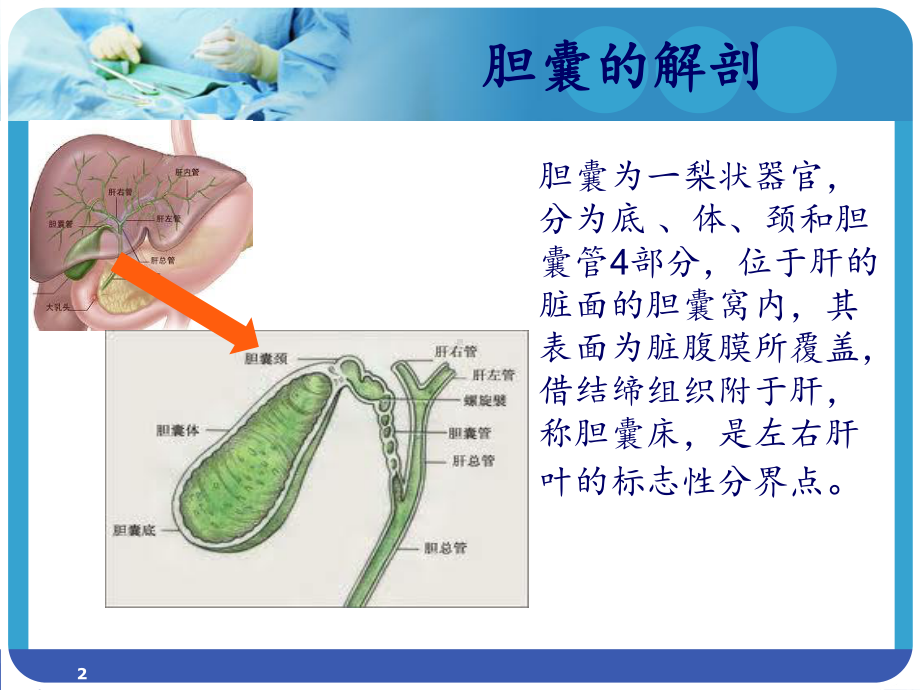 腹腔镜下保胆取石术PPT课件.ppt_第2页