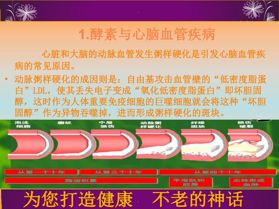 酵素与各种疾病PPT课件.ppt_第2页