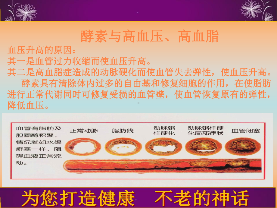 酵素与各种疾病PPT课件.ppt_第3页