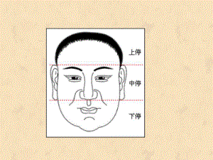 面相学之鼻相-ppt课件.ppt