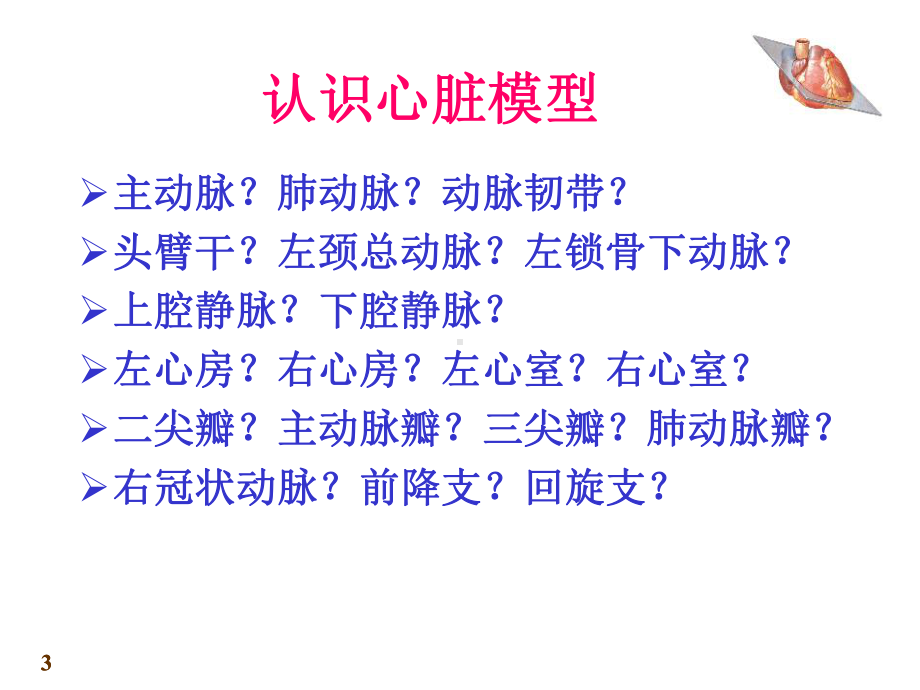 心脏解剖ppt课件.ppt_第3页