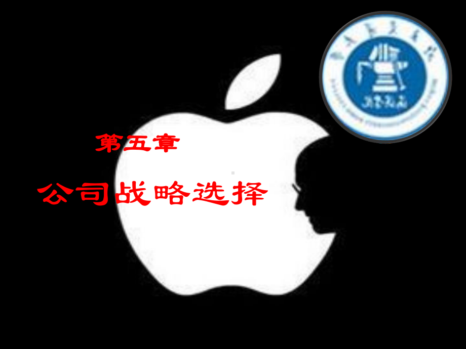 公司战略选择ppt课件.ppt_第2页