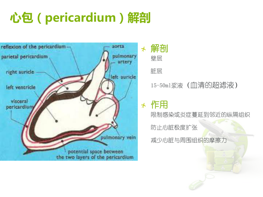 心包疾病的影像特征-ppt课件.ppt_第2页