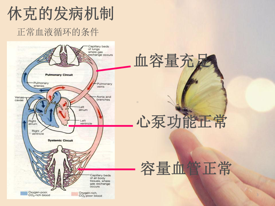 急救抢救预案PPT课件.ppt_第3页