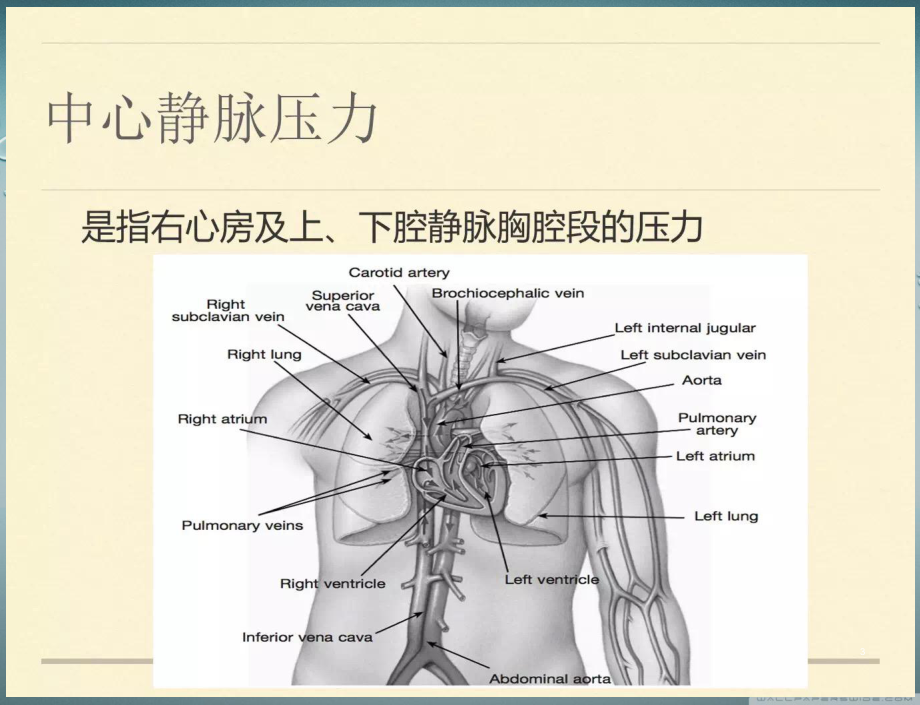 CVP的意义PPT课件.ppt_第3页