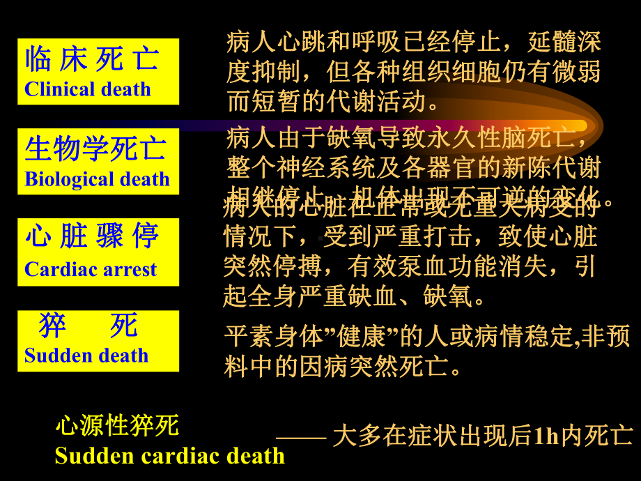 心搏骤停PPT课件.ppt_第3页