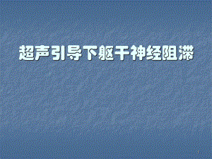 超声引导下躯干神经阻滞ppt课件.pptx