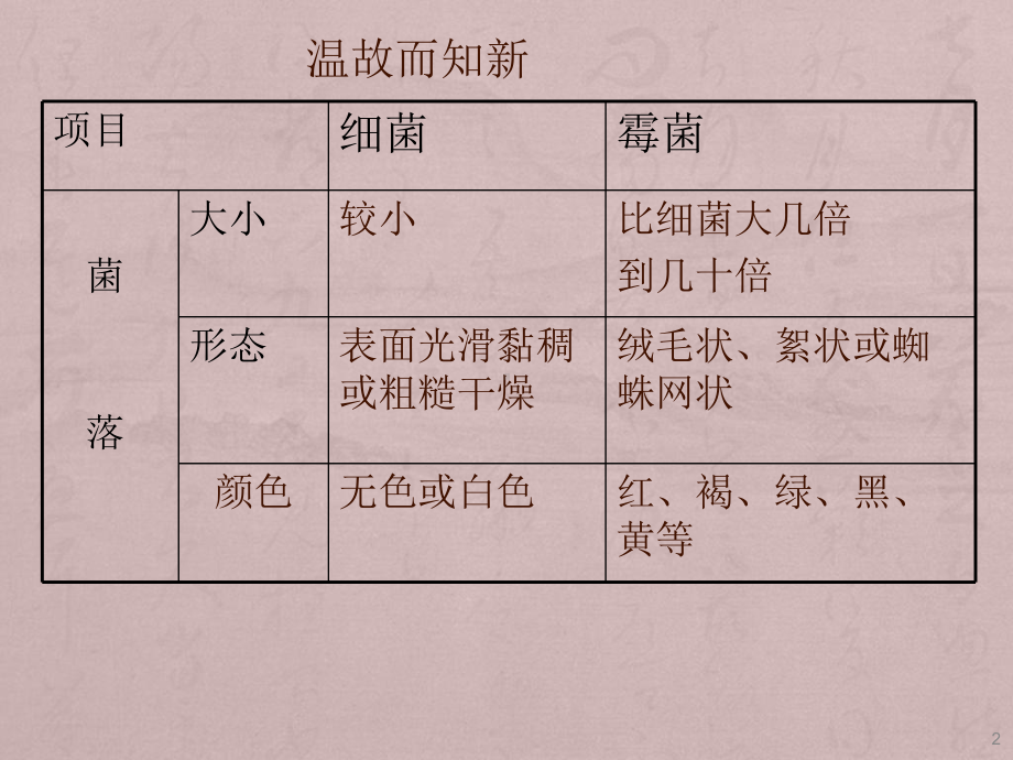 八年级生物上册细菌ppt课件.ppt_第2页