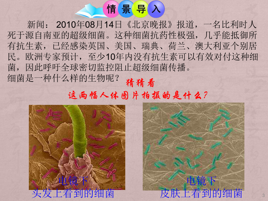 八年级生物上册细菌ppt课件.ppt_第3页