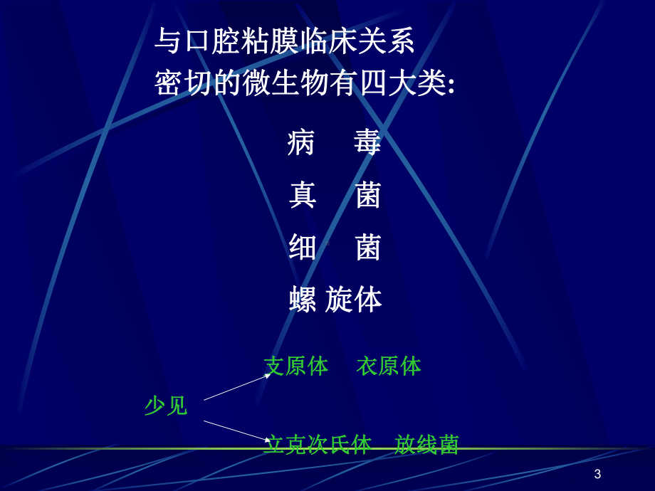 口腔微生物ppt课件.ppt_第3页