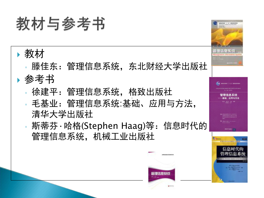 信息系统概述ppt课件.ppt_第2页