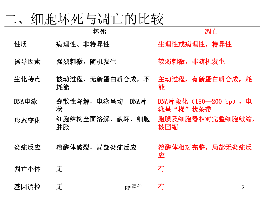 细胞凋亡实验-ppt课件.ppt_第3页