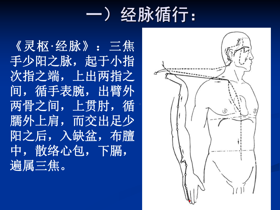 手少阳三焦经PPT课件.ppt_第3页