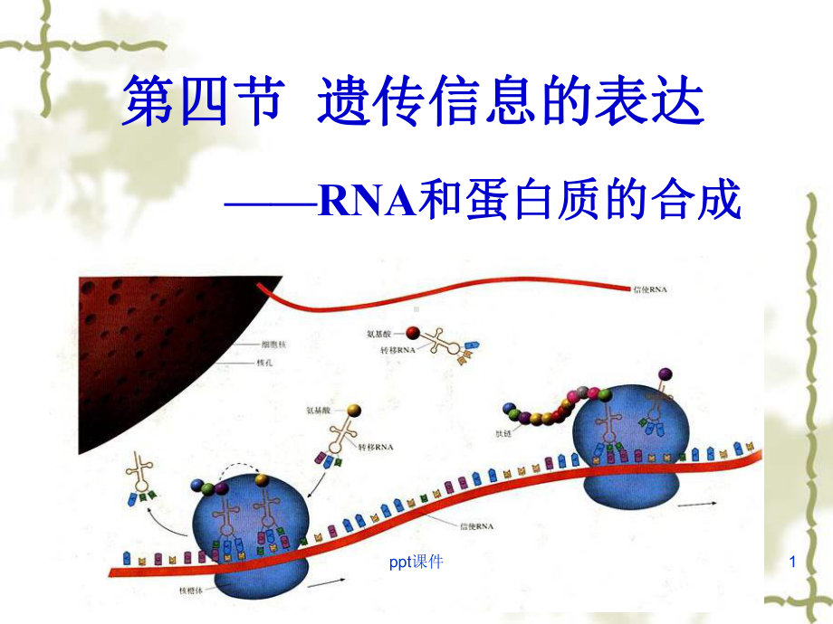 基因的表达-ppt课件.ppt_第1页