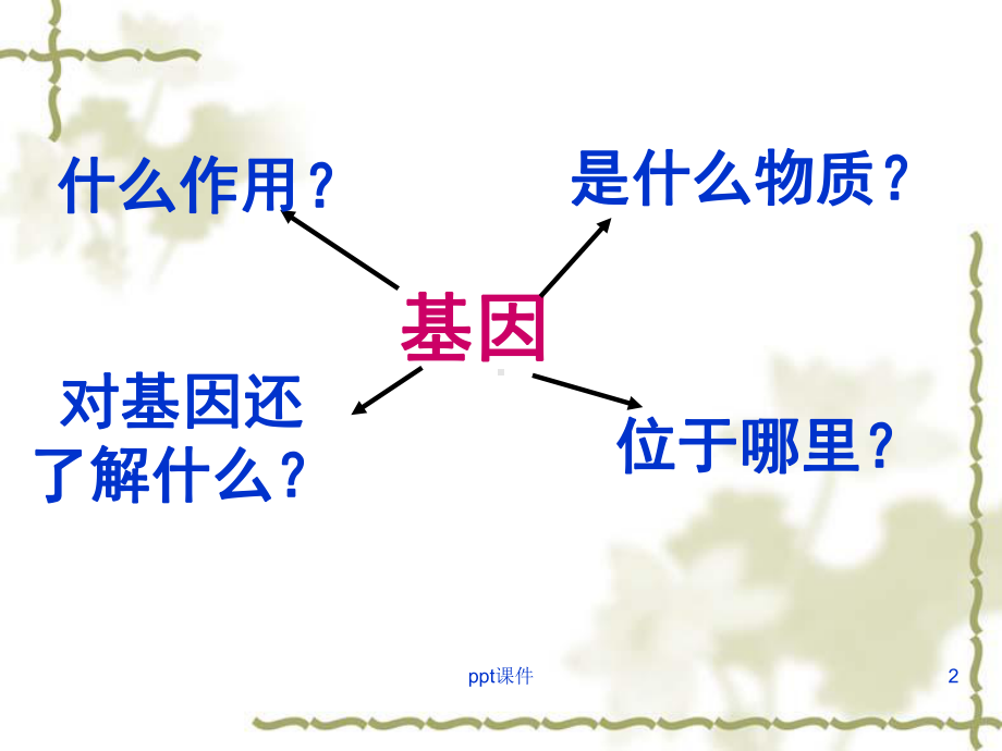 基因的表达-ppt课件.ppt_第2页