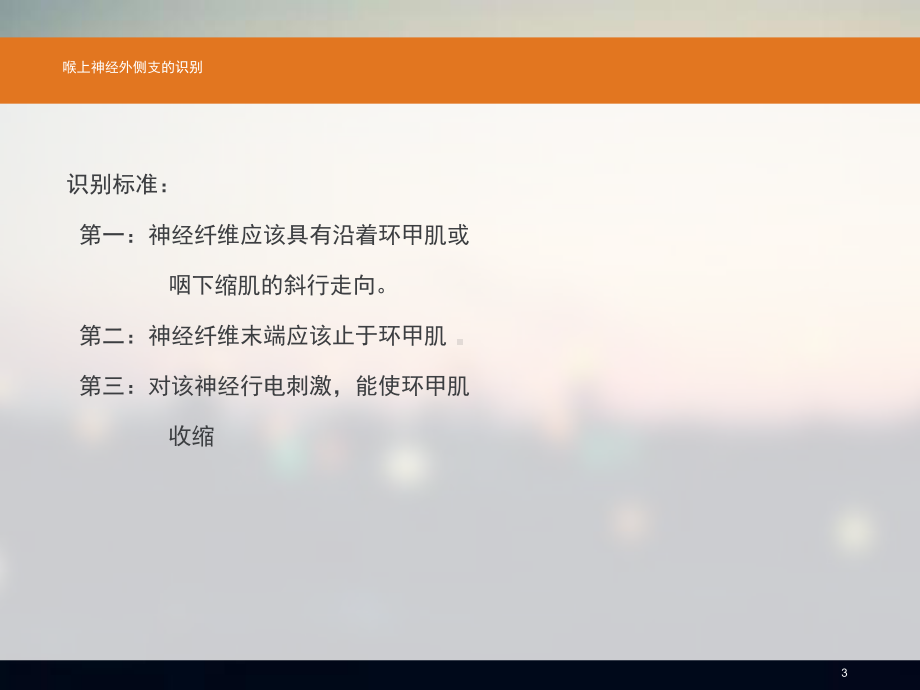 喉上神经解剖及意义PPT课件.ppt_第3页