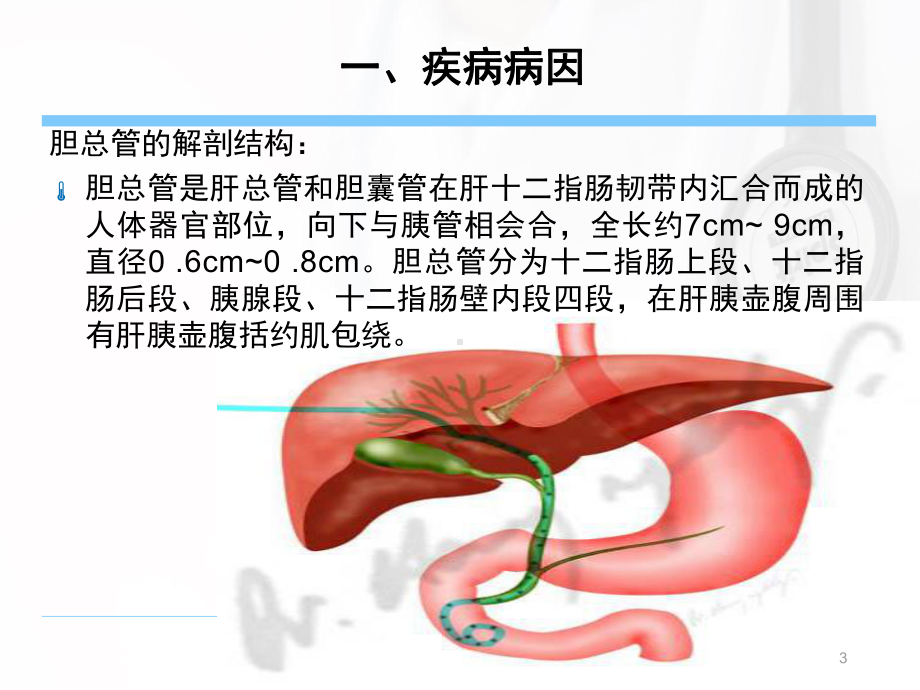 胆总管结石系统回顾PPT课件.ppt_第3页