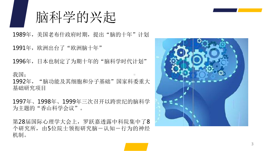 教育与脑科学ppt课件.ppt_第3页