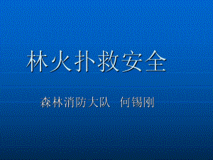 林火扑救安全-ppt课件.ppt