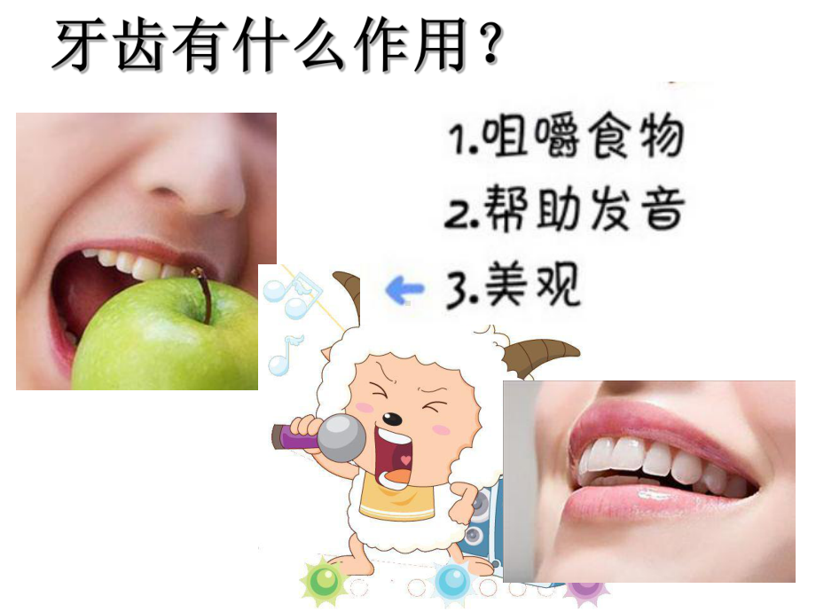 儿童牙齿保健PPT课件.ppt_第2页