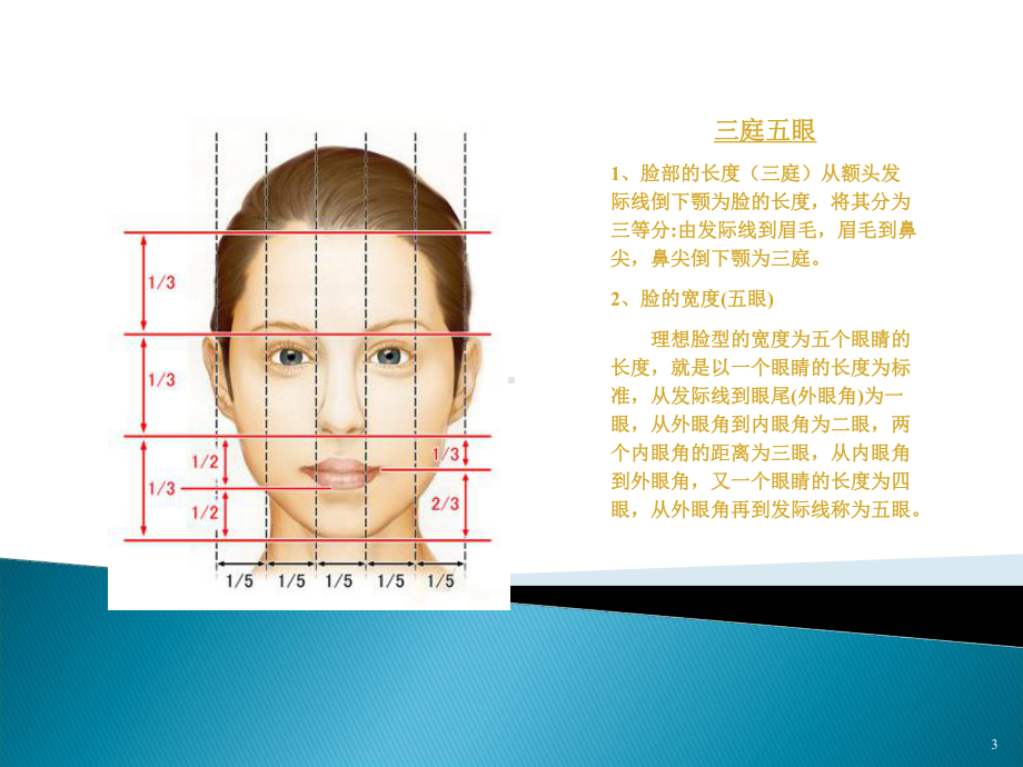 魅力女性必备课程PPT课件.ppt_第3页