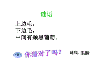 《保护眼睛》PPT课件-(2).ppt