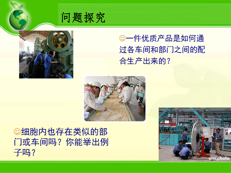 细胞中的细胞器ppt课件.ppt_第2页