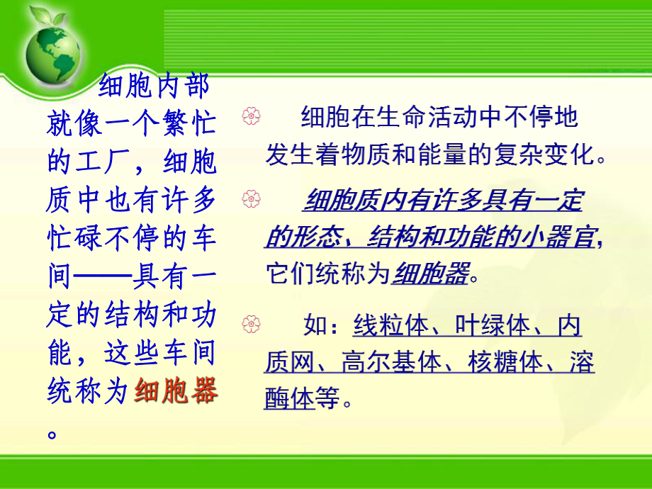 细胞中的细胞器ppt课件.ppt_第3页