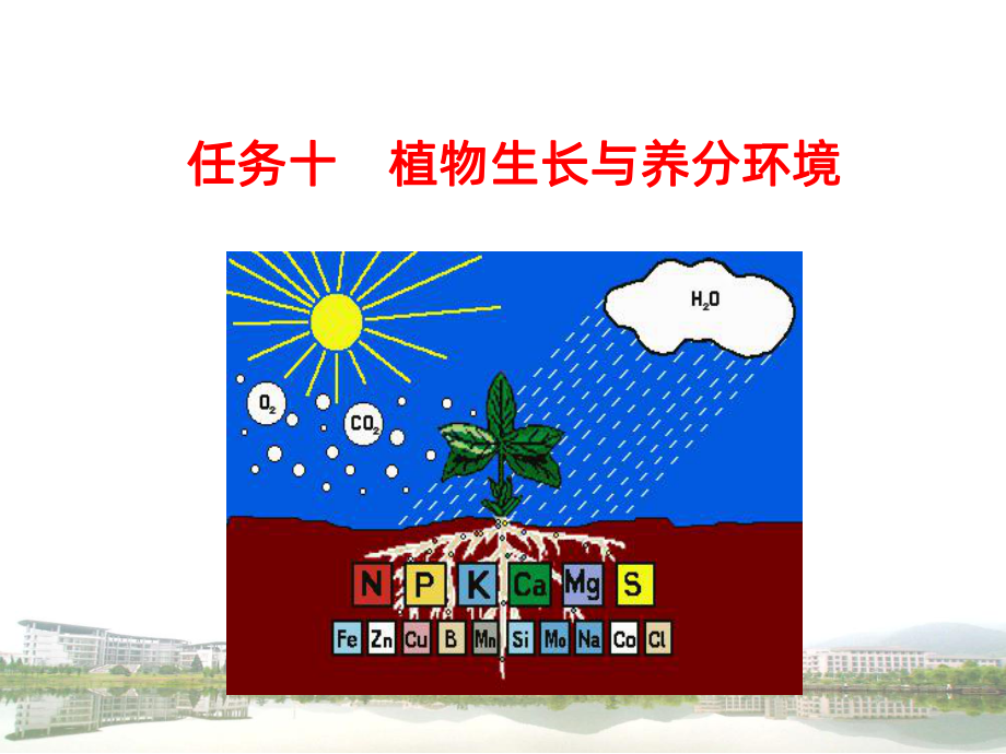 十、植物生长与养分环境PPT课件.ppt_第1页