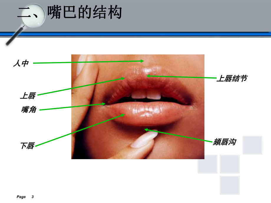 速写五官-嘴-ppt课件.ppt_第3页