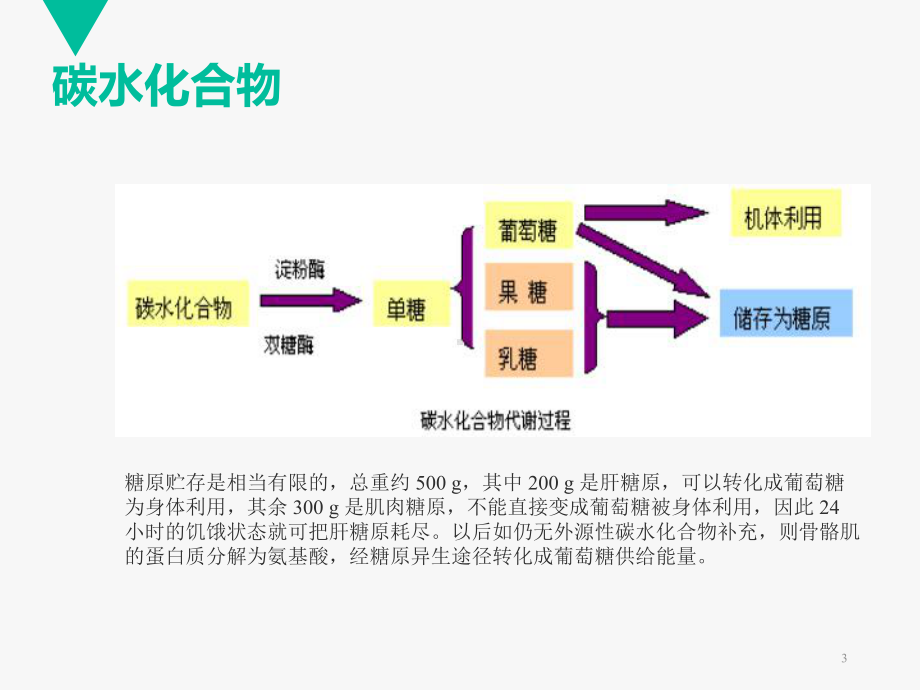 肠外、肠内营养支持-ppt课件.ppt_第3页