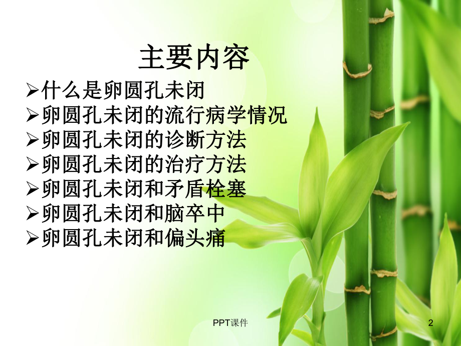 卵圆孔未闭-ppt课件.ppt_第2页