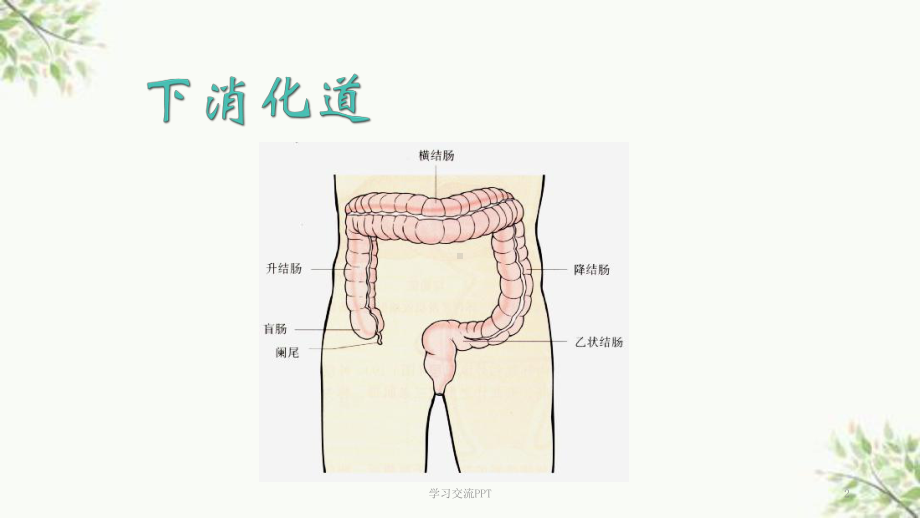 便血幻灯片课件.ppt_第2页