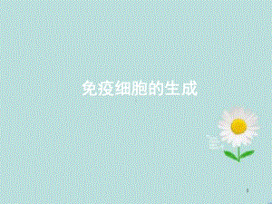 造血干细胞PPT课件.ppt